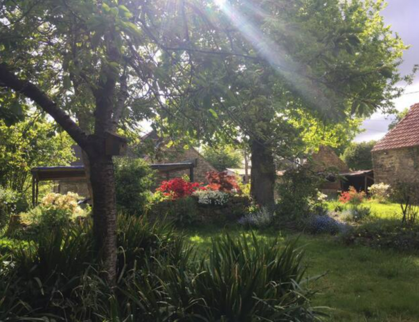 jardin3